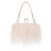 Feathered Evening Clutch