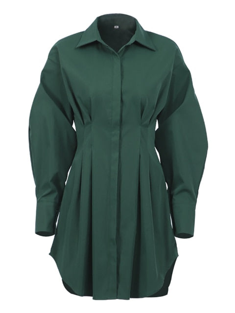 The Basic Shirt Dress