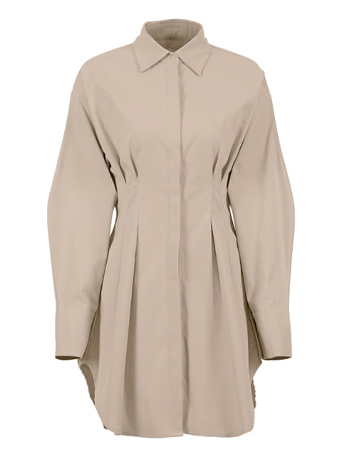 The Basic Shirt Dress